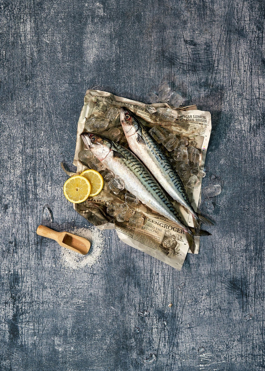 Blue Steel Vinyl Photography Backdrop by Club Backdrops