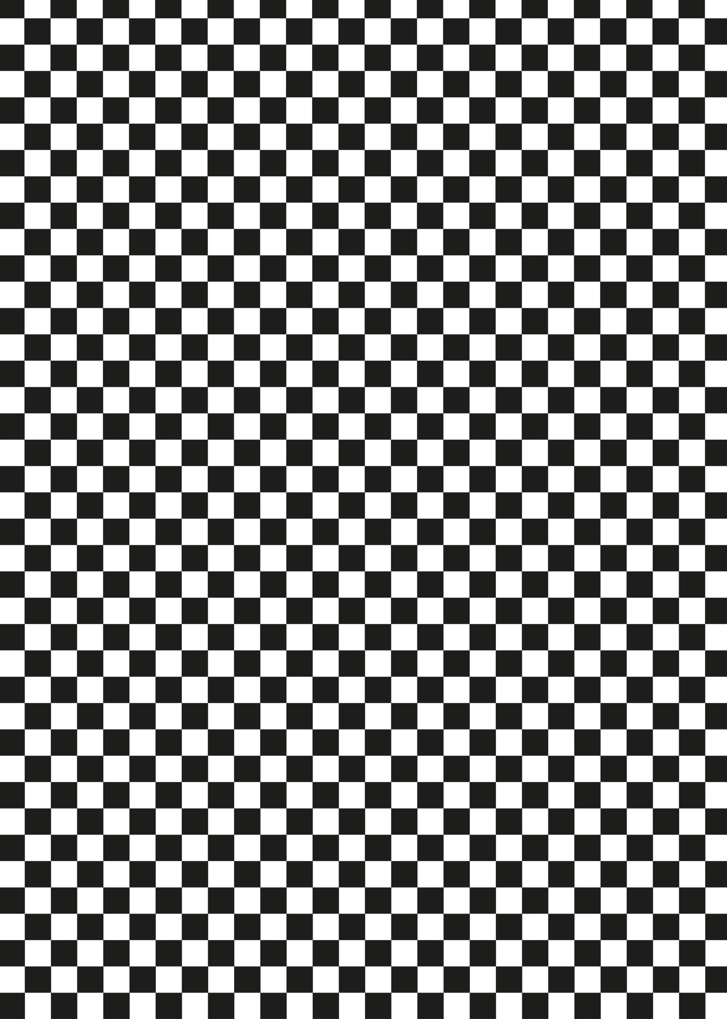 Custom Checks Large Vinyl Photography Backdrop by Club Backdrops