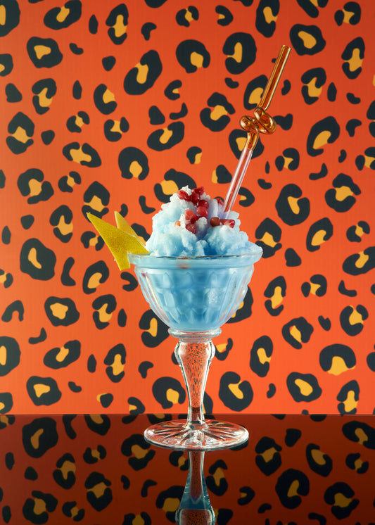 Custom Leopard Vinyl Photography Backdrop by Club Backdrops